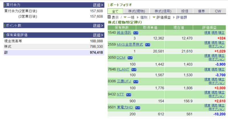 資産運用結果89：2024-11-21（日経円）