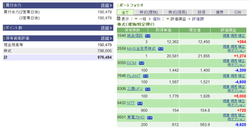 資産運用結果91：2024-11-25（日経+257円）