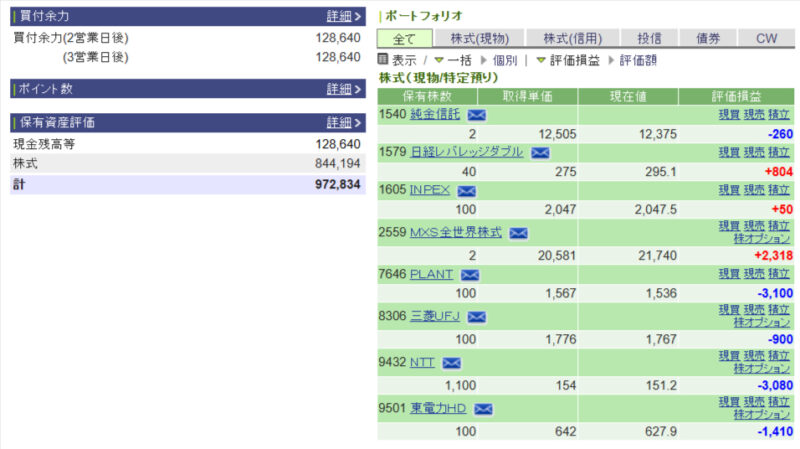 資産運用結果79：2024-11-07（日経-99円）